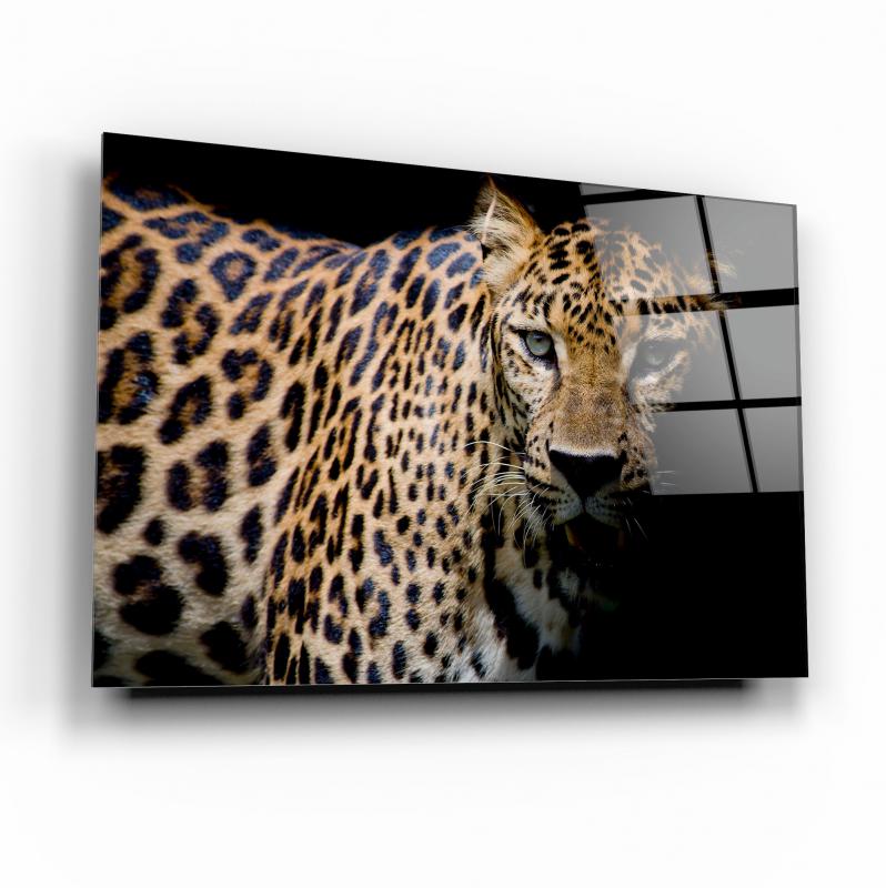 Leopar Cam Tablo