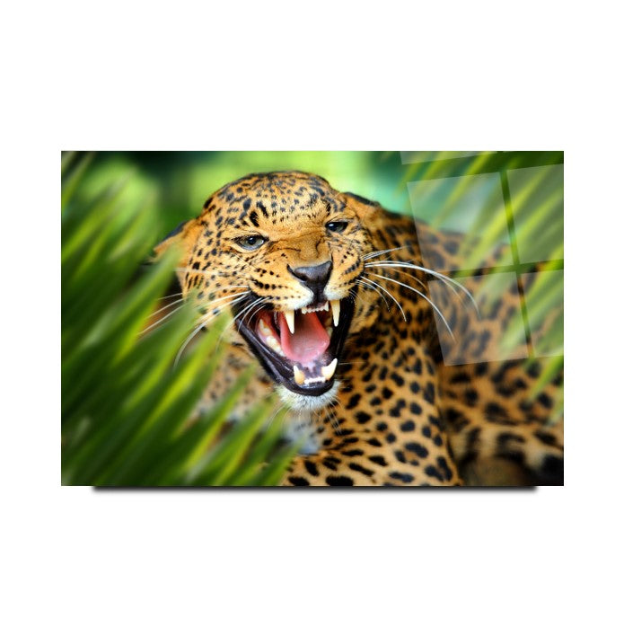 Leopar Cam Tablo